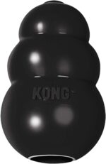 KONG Extreme Dog Toy - Fetch & Chew Toy